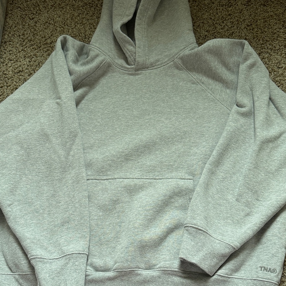 Aritzia TNA Light Gray Hooded Sweatshirt